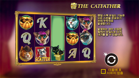 5 레빗스 메가웨이즈